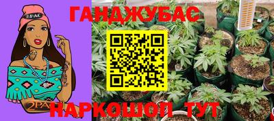крисы Камышлов
