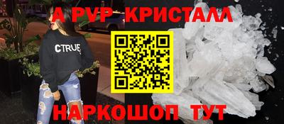 крисы Камышлов