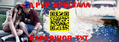 крисы Камышлов