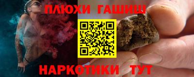крисы Камышлов