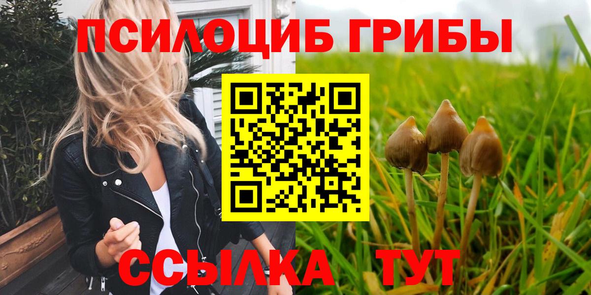 Галлюциногенные грибы Cubensis Чебоксары